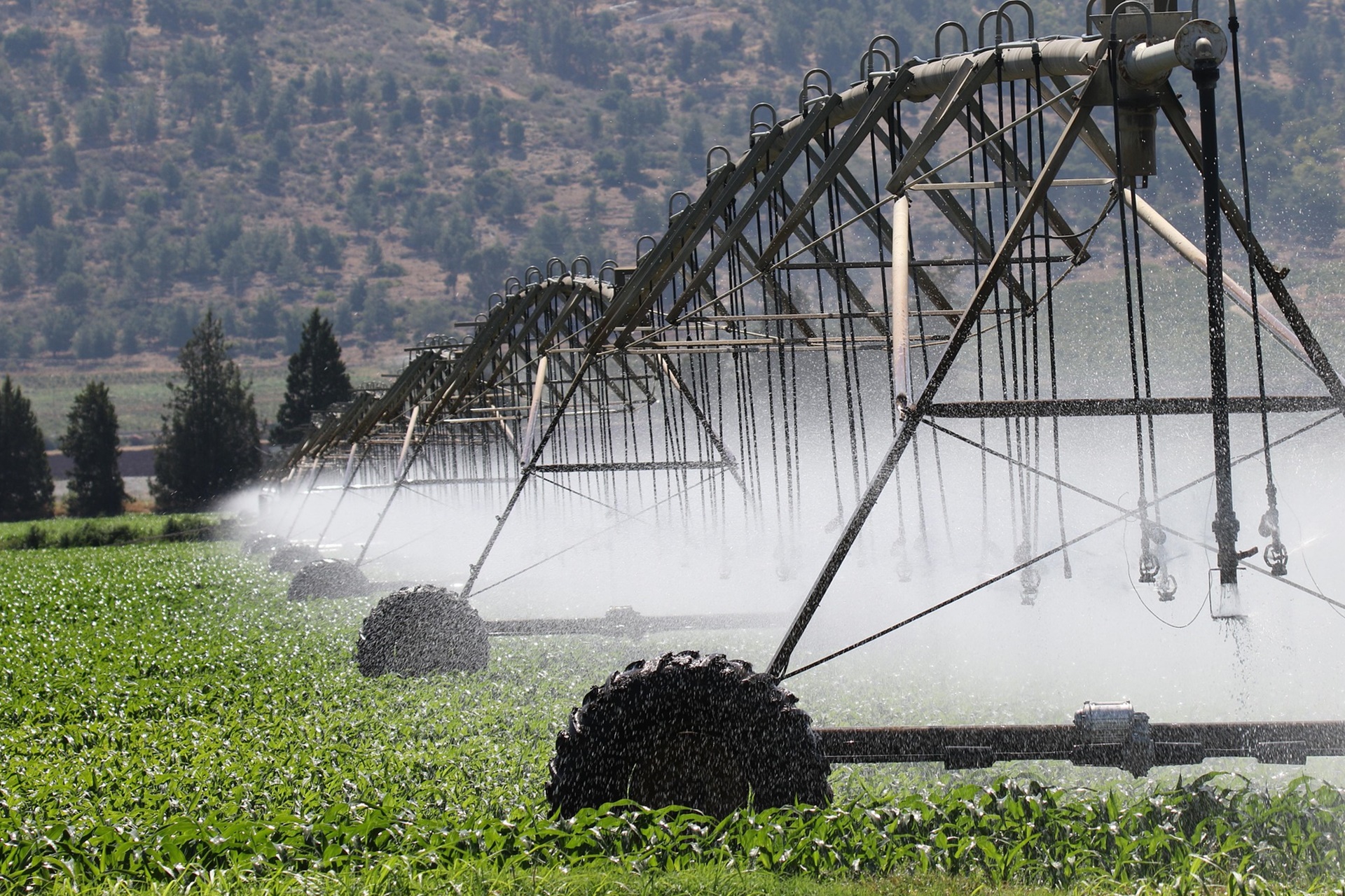 기후 위기는 왜 ‘의료·복지 재정’을 먼저 무너뜨리는가!