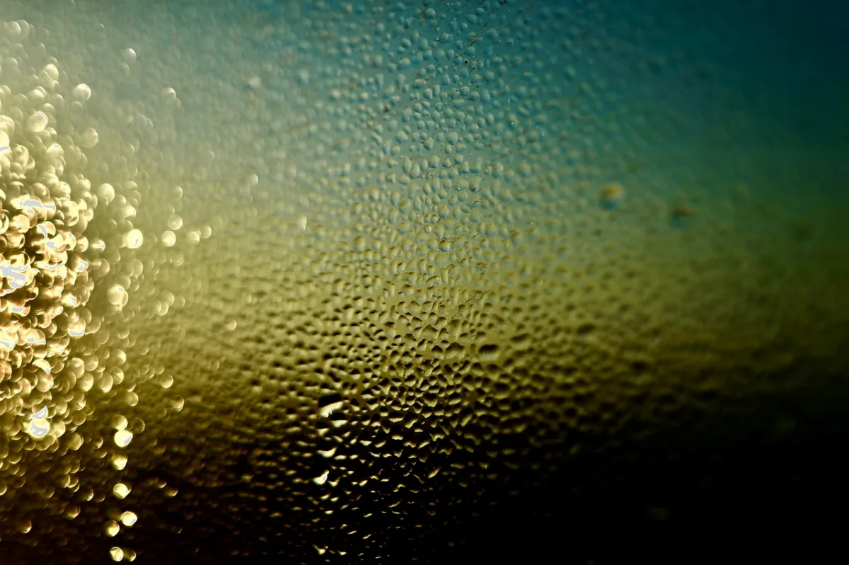 물-맺힌-창의-모습