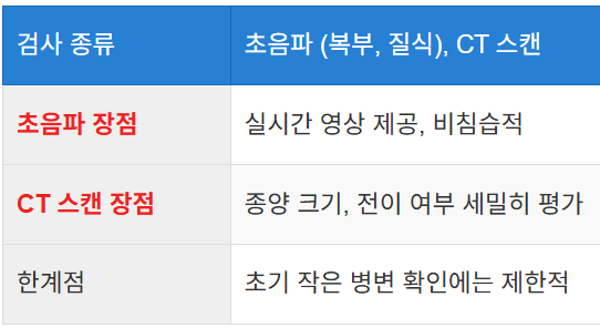 초음파 및 CT 스캔 활용