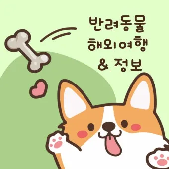 반려동물과 해외여행 기내 직항 펫 전용 준비와 절차_11