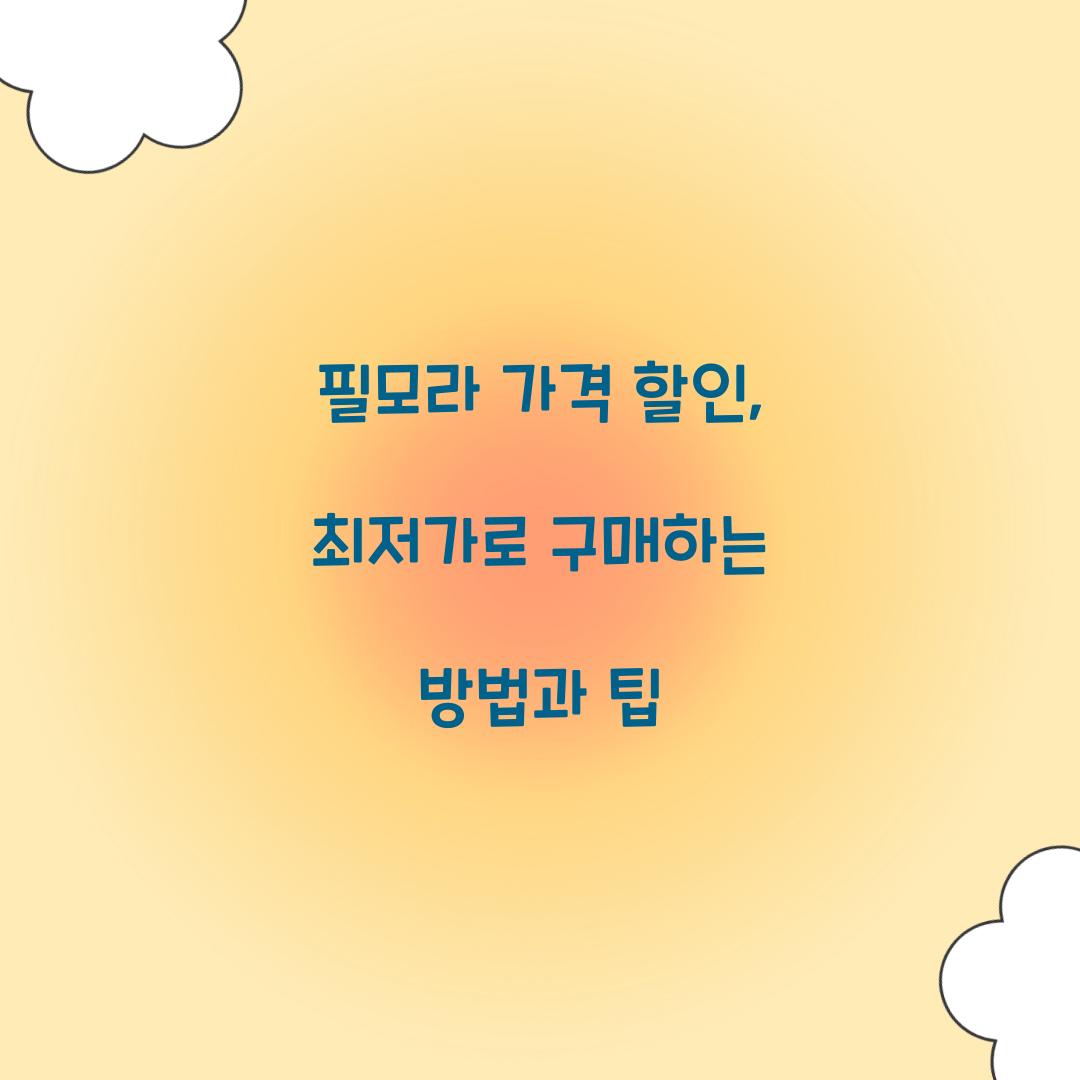 필모라 가격 할인