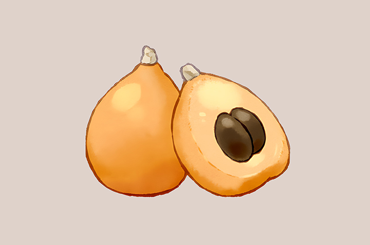 비파-하루-섭취-권장량