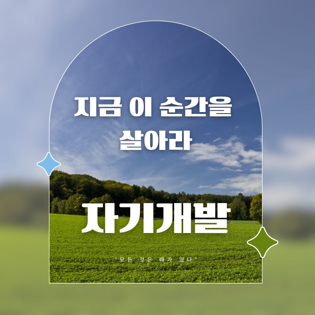 지금 이 순간을 살아라