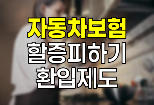 자동차보험 할증 피하기, 환입 제도 활용과 저렴한 보험료 유지 방법