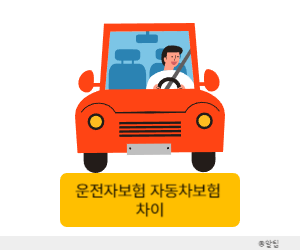 운전자보험 자동차보험 차이