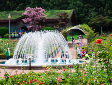 수도권 수국명소 추천 7곳&amp;#44; 도심 속에서 만나는 수국의 향연