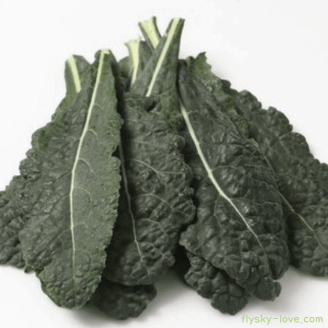 뉴그린 고르는 법