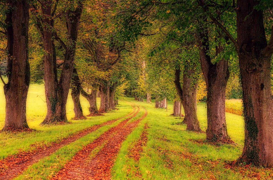 혼자 보는 감성 영화 관련 사진