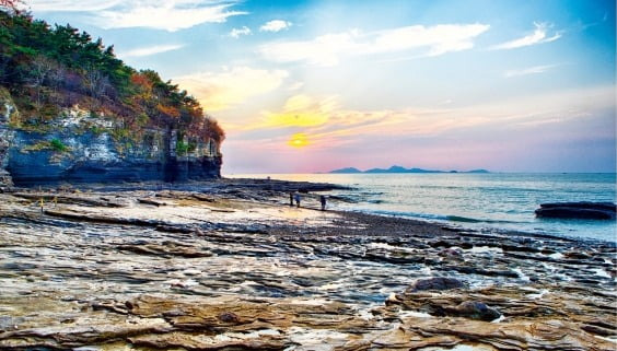 변산반도 생태탐방원