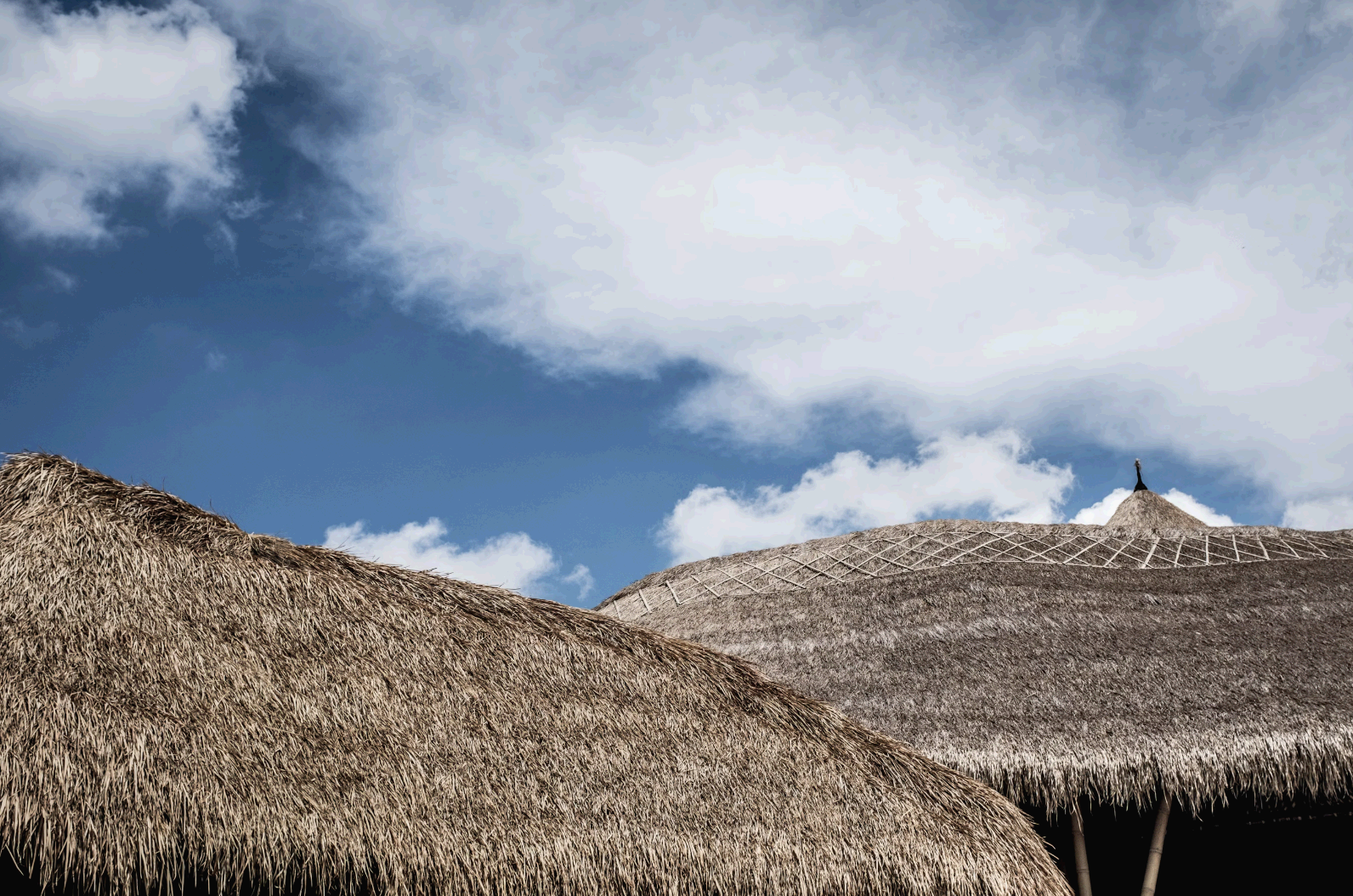 초가집의 지붕은 왜 비바람에 강할까? – 전통 초가지붕의 과학