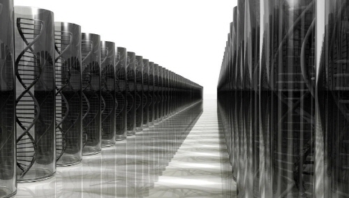 친자확인 유전자검사 비용 / 기관 / 기간 / 검체 / 신청방법 / 서류