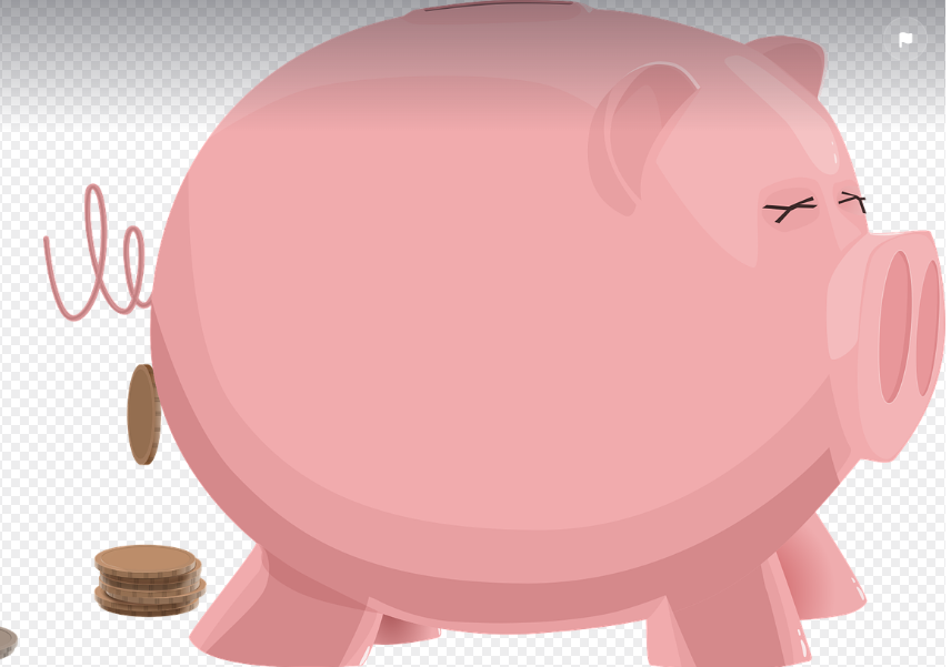 돼지저금통 사진