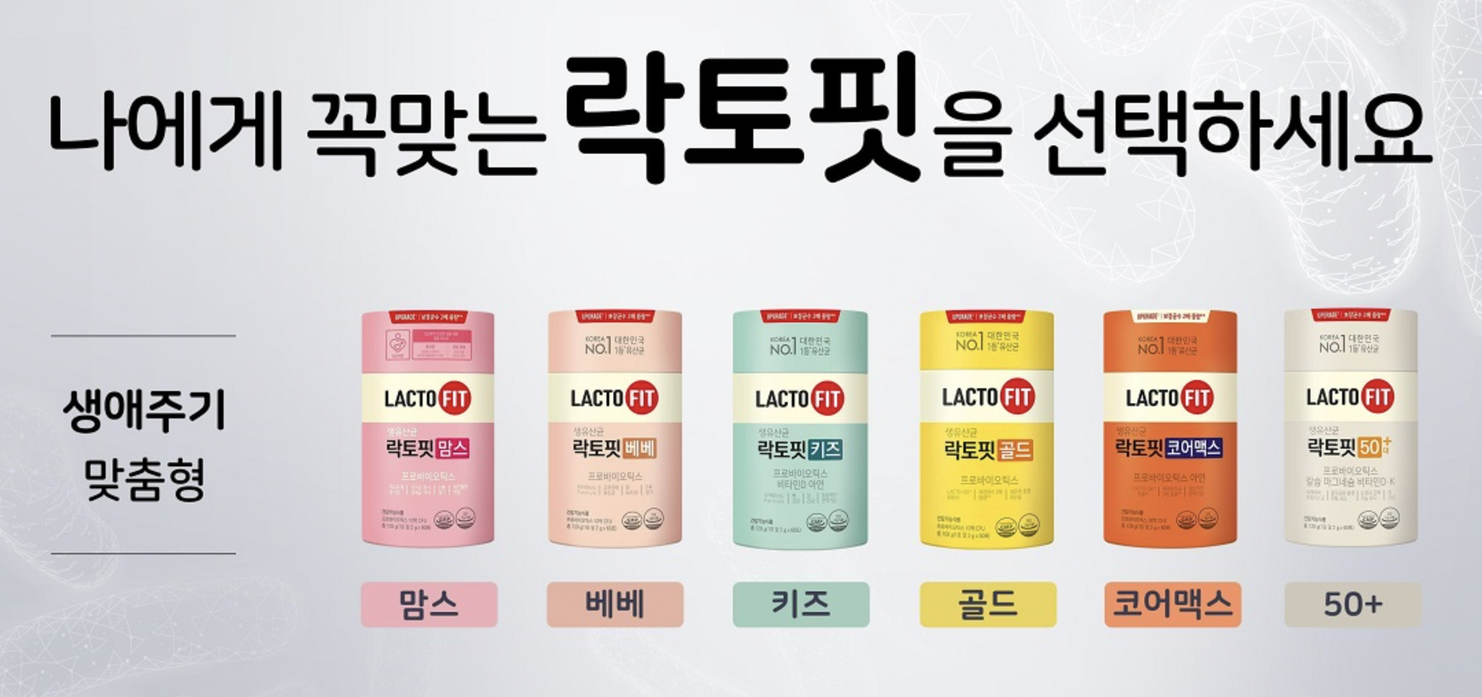 락토핏 유산균 추천