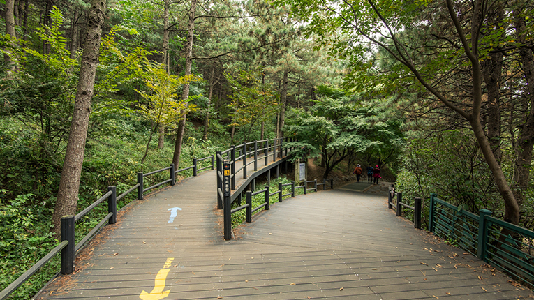 서울 숲 길 산책로
