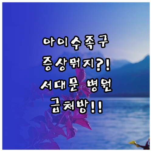 아이 수족구 증상 서대문구 근처 병원..