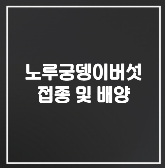 노루궁뎅이 버섯 접종과 배양