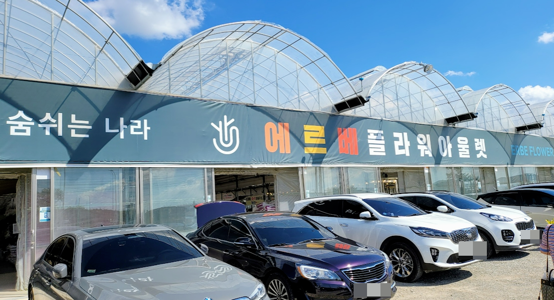 용인 식물원 대신 가볼만한 남사화훼단지 에르베플라워아울렛