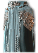 얼음심장 브레이스 사진