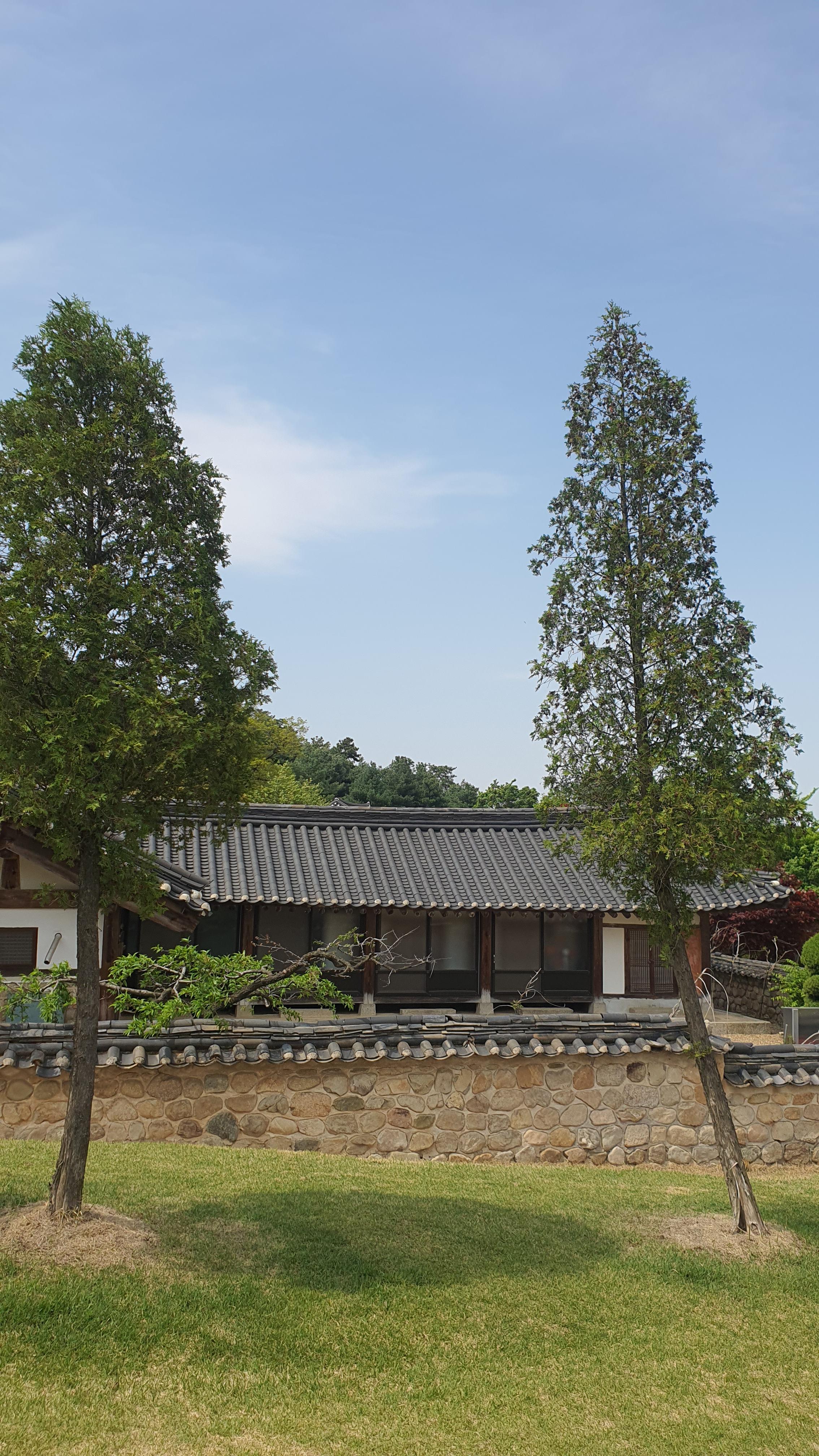 충남 예산 가볼만한 곳 추사고택