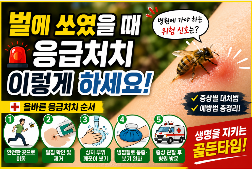 벌에 쏘였을 때 응급처치 이렇게 하세요!