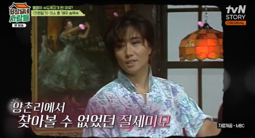 송옥숙 전원일기