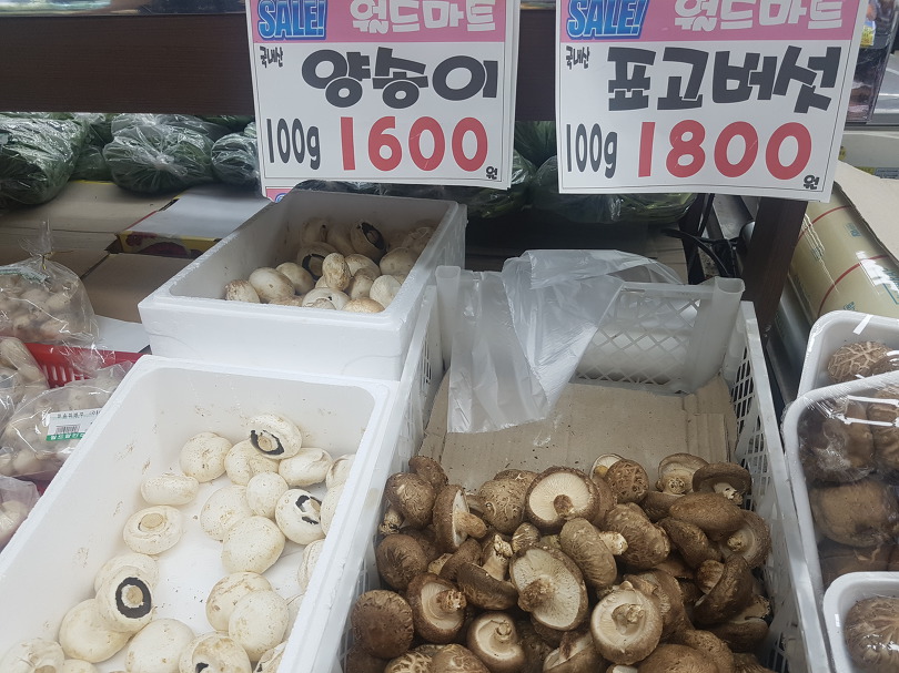 많이 먹는 버섯 종류7