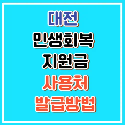 2025년 대전 민생회복 지원금 사용처, 발급방법