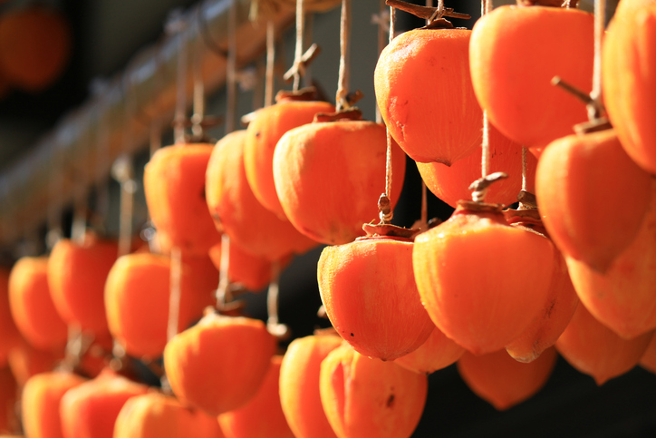 단감의 간식 곶감