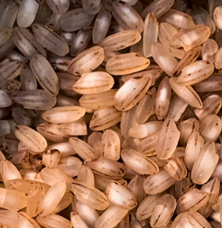 통풍에 좋은 음식 영양제 식단