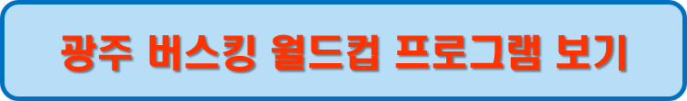 광주 버스킹 월드컵 프로그램