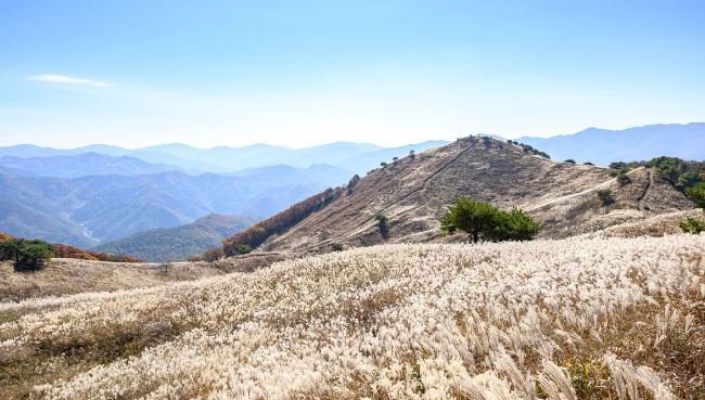 정선 민둥산