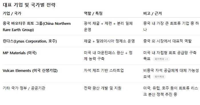 대표기업 및 국가별 전략