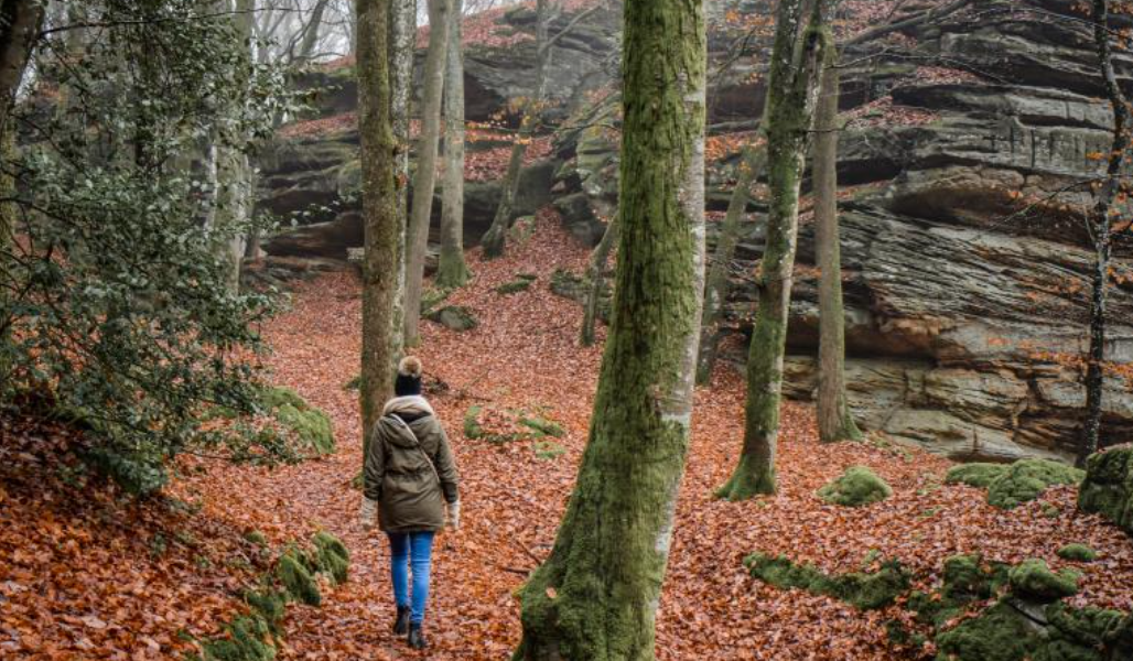 강원도 단풍 명소 방문 시 준비물 및 주의사항