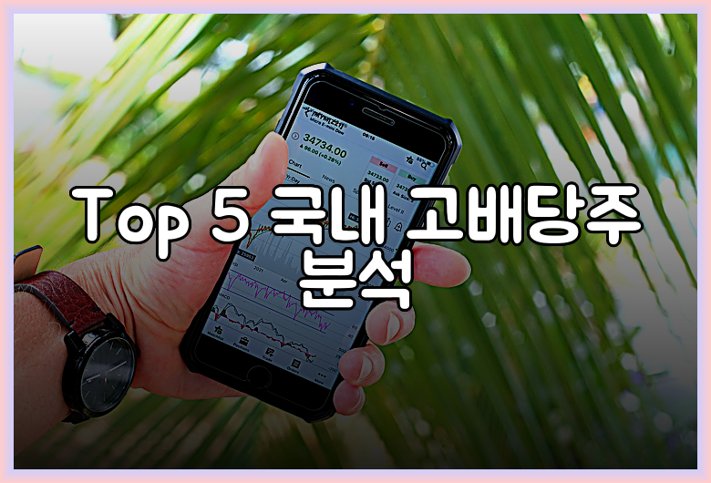 Top 5 국내 고배당주 분석