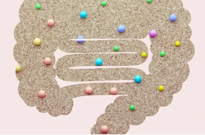 낙산균 효능과 부작용