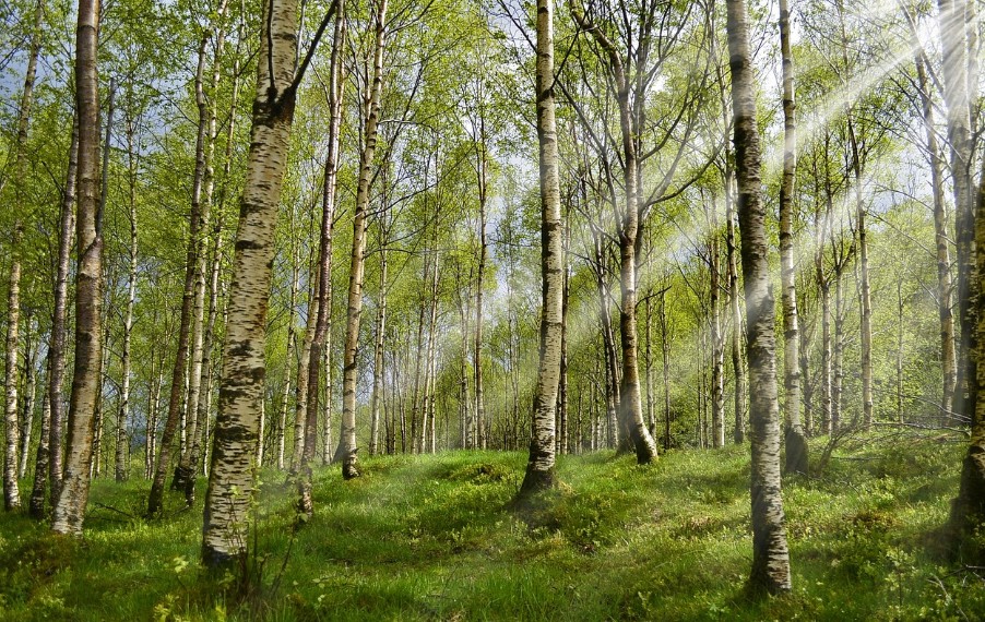 2025-2026 한국관광100선 -3월 치유여행지 추천에 관한 사진
