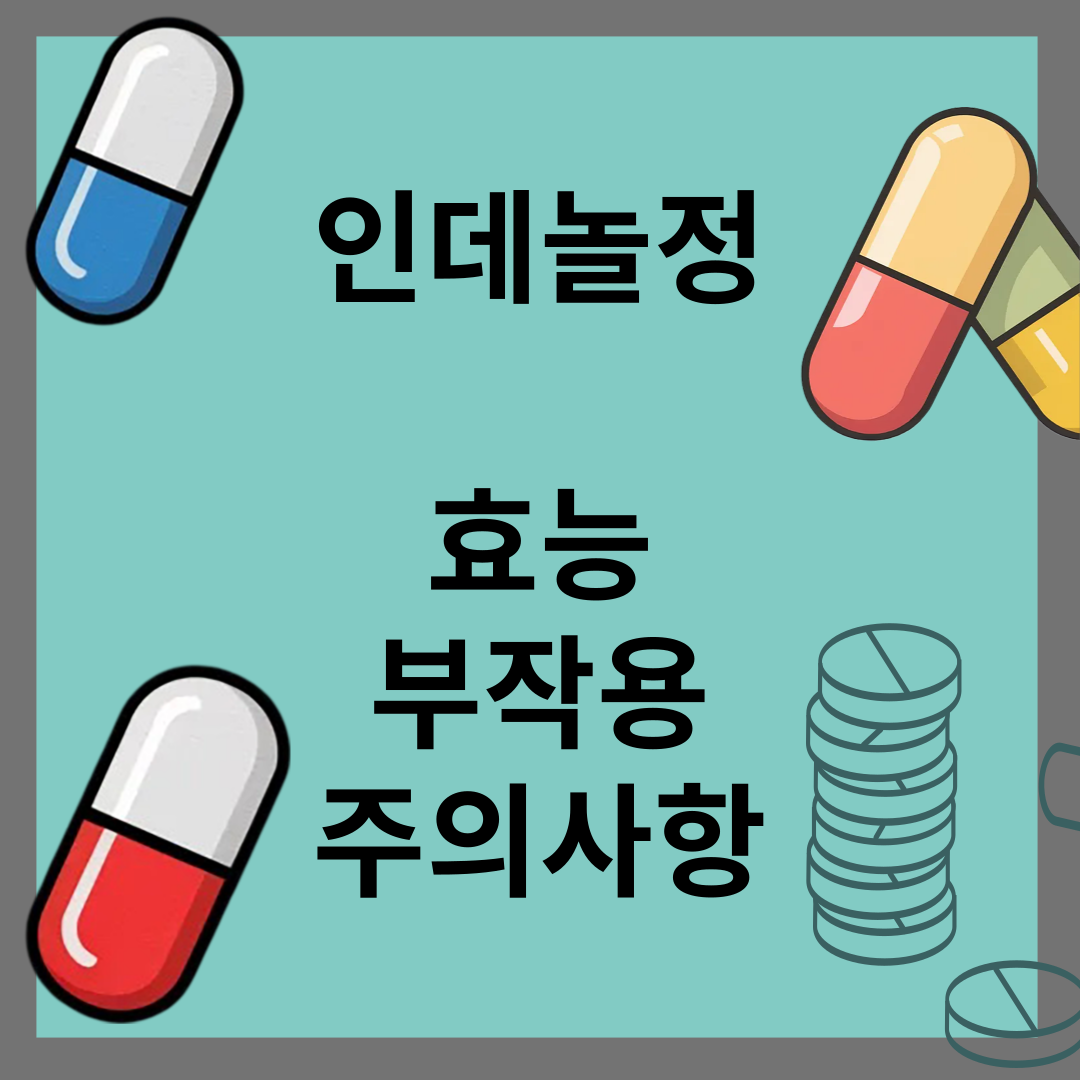 인데놀정 10mg