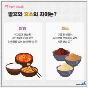 발효효소