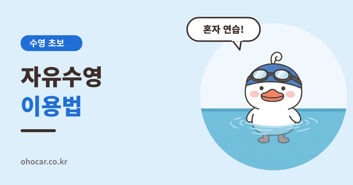 자유수영 이용법