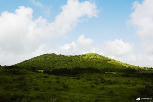 제주 백약이오름