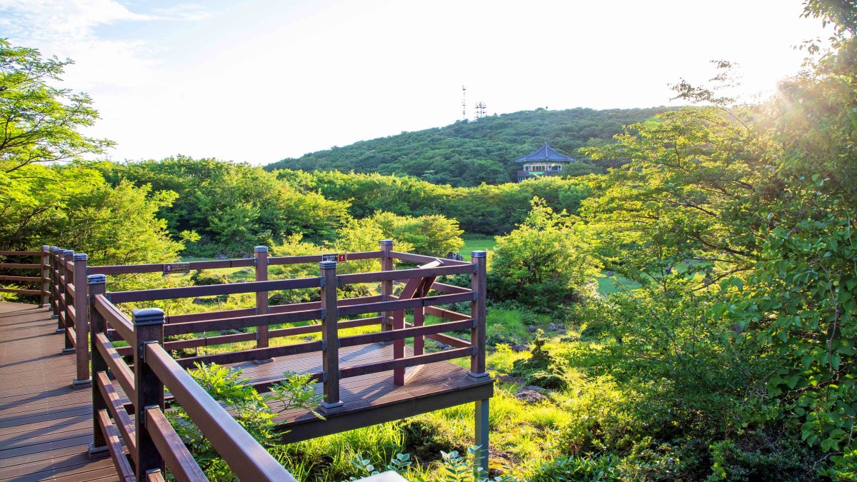 해발 1,100m에 차로 올라가는 람사르 습지 제주 1100고지