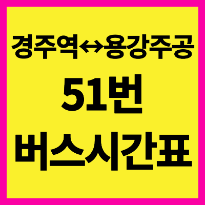 경주 51번 버스 시간표
