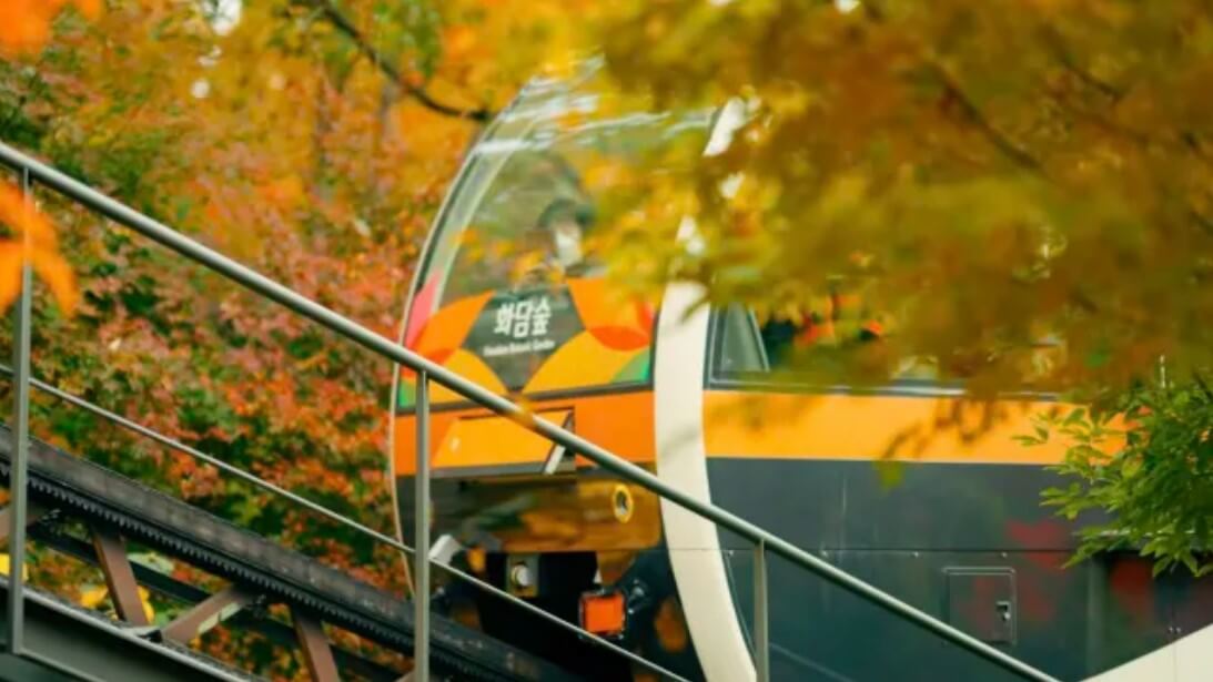 가을축제_총정리