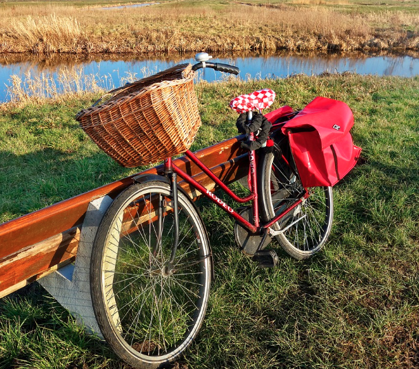 2025 함평 나비대축제