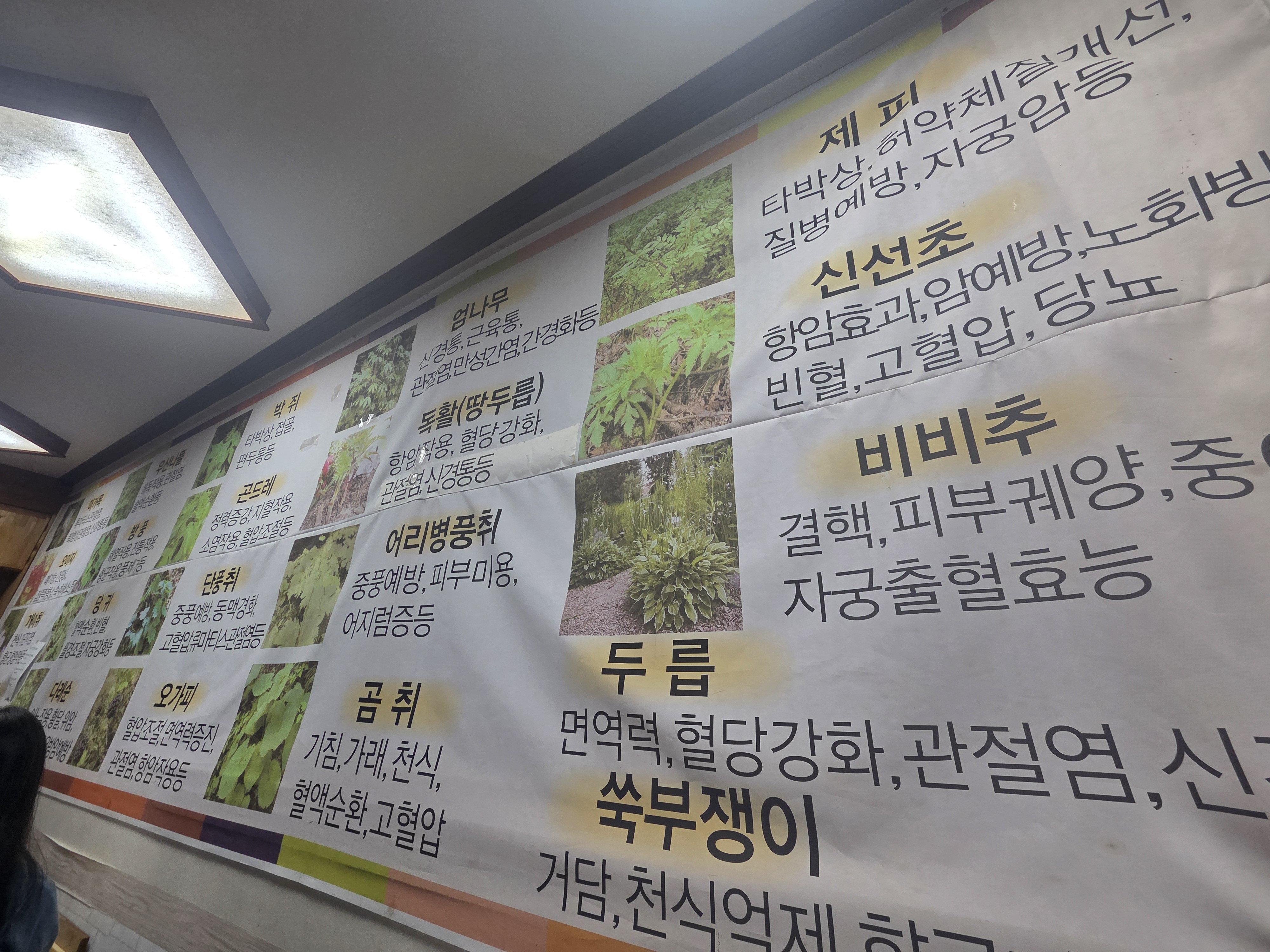심원 첫 집