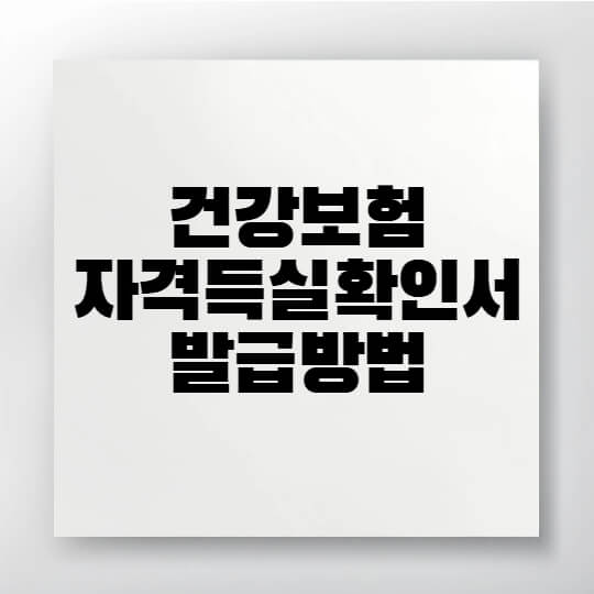 건강보험 자격득실 확인서 발급 절차를 한눈에 보기 좋게 설명한 이미지