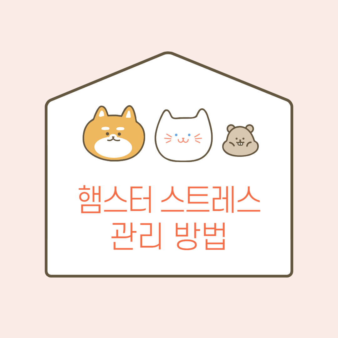 햄스터 스트레스 관리법, 신호, 환경, 주의 사항