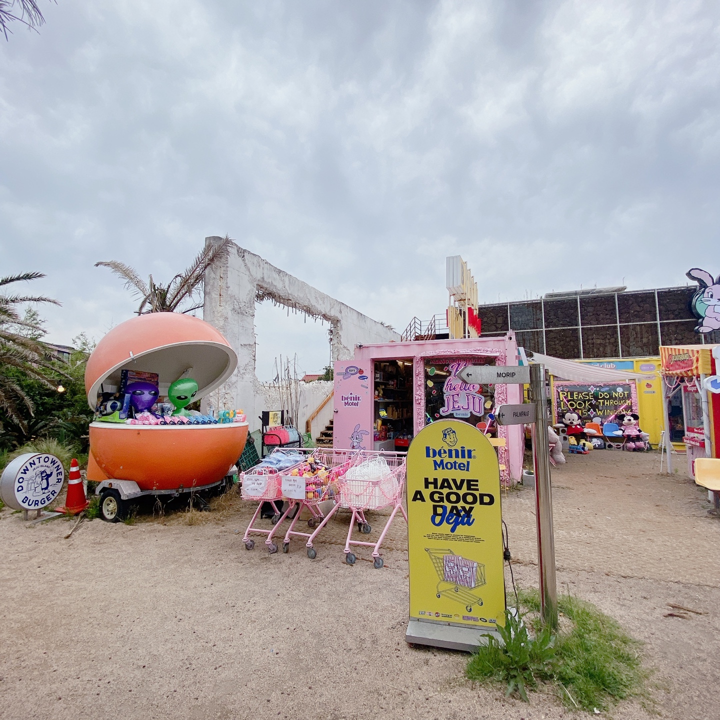 노티드 도넛 제주 애월 핫플레이스 우유크림 도넛 Knotted JEJU