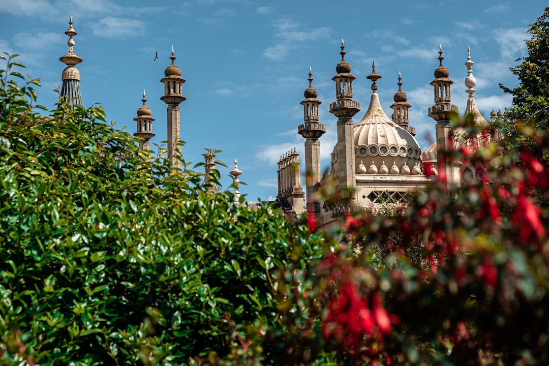 '더쿠'는 '덕후'의 변형으로, 영어로는 'fandom'이 적절할 것입니다.