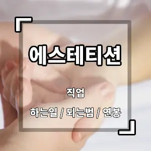 에스테티션